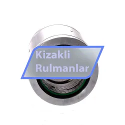 INA PAB50-PP-AS rulman resim 3