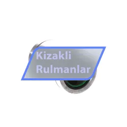 INA PAB30-PP-AS rulman resim 2