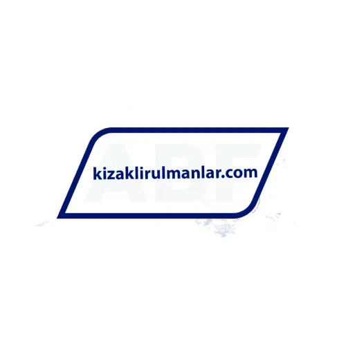 INA LFL32-SF ürün fotoğrafı 2