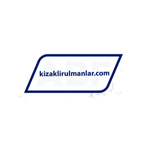 INA LFL32-SF ürün fotoğrafı 3