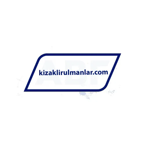 INA LFL32-SF ürün fotoğrafı 4