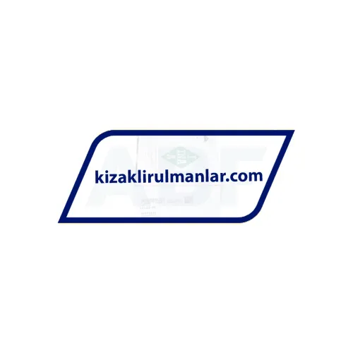INA LFL32-SF ürün fotoğrafı 6