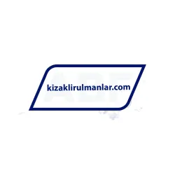 INA LFL32-SF rulman resim 2