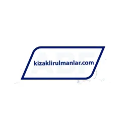INA LFL32-SF rulman resim 3