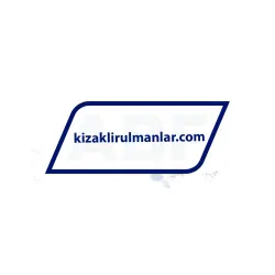 INA LFL32-SF rulman resim 4