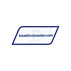 INA LFL32-SF rulman resim 6