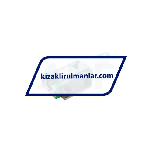 INA RWU25-E-V1-G3 ürün fotoğrafı 2