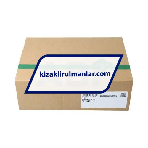 INA RWU25-E-V1-G3 ürün fotoğrafı 4