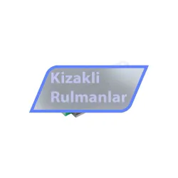 INA RWU25-E-V1-G3 rulman resim 2