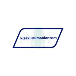 INA KWVE25-B-SNL-UG-V1-G3 rulman resim 2