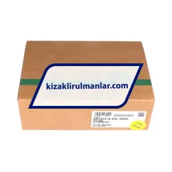 INA KWVE25-B-SNL-RROC-V1-G3 rulman resim 4