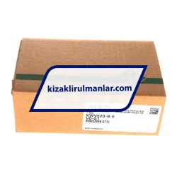 INA KWVE20-B-E-V0-G1 rulman resim 4
