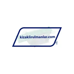 INA KWVE25-B-V0-G4 rulman resim 2