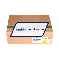 INA KWVE25-B-ESC-V2-G2 rulman resim 4