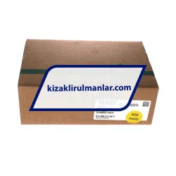 INA KWVE25-B-ESC-V1-G1 rulman resim 4