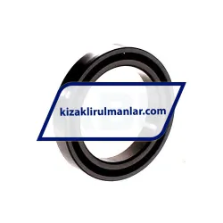 INA KWVE20-B-N-V2-G1 rulman resim 2
