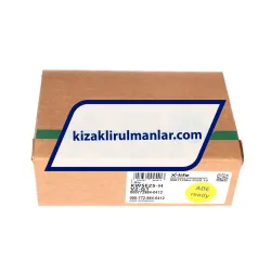 INA KWSE25-H-V2-G1 rulman resim 4