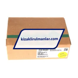 INA KWSE20-L-V0-G1 rulman resim 4