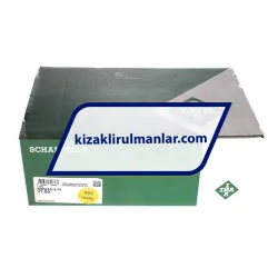 INA RWU45-E-H-V1-G0 rulman resim 4