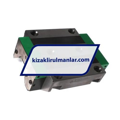 INA RWU55-E-V4-G2