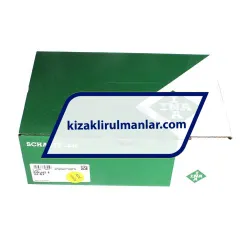 INA RWU45-E-V4-G3 rulman resim 4