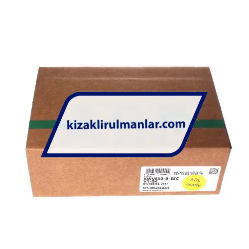INA KWVE30-B-ESC-V1-G4 ürün fotoğrafı 4