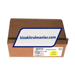 INA KWVE20-B-SN-V1-G3 rulman resim 4