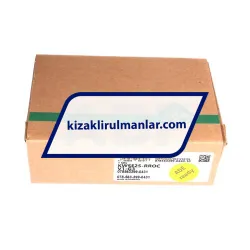INA KWSE25-RROC-V1-G3 rulman resim 4