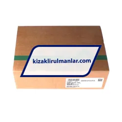 INA KWVE25-WL-V0-G1 rulman resim 4