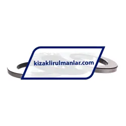 INA KWVE15-B-RROC-V1-G3 rulman resim 3