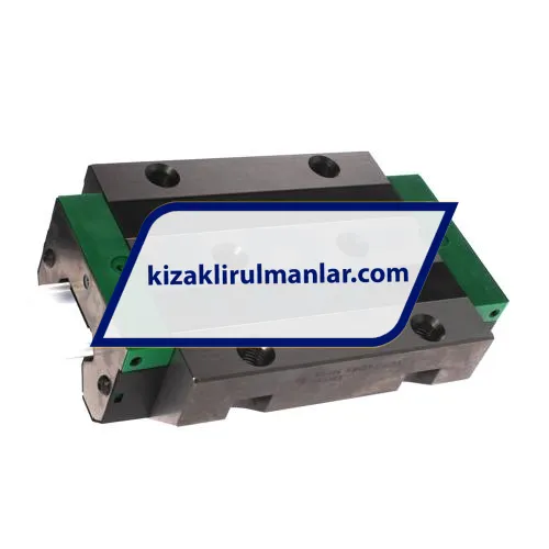 INA RWU55-E-L-V3-G0