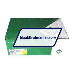 INA KWVE45-B-HL-RROC-V2-G3 rulman resim 4