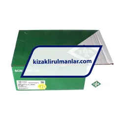 INA KWVE45-B-HL-RROC-V1-G3 rulman resim 4