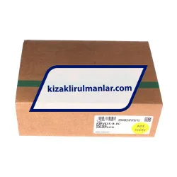 INA KWVE35-B-EC-V0-G2 rulman resim 4