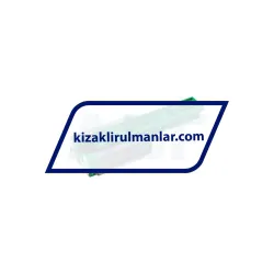 INA KWVE25-B-ES-V2-G3 rulman resim 2