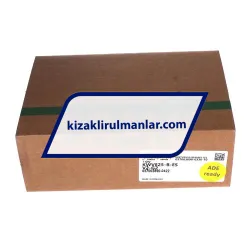 INA KWVE25-B-ES-V2-G2 rulman resim 4