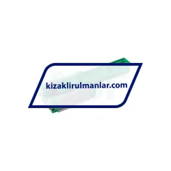 INA KWVE25-B-ES-V2-G1 rulman resim 2