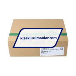 INA KWVE25-B-ES-V2-G1 rulman resim 4