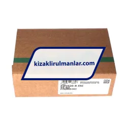 INA KWVE20-B-ESC-V2-G2 rulman resim 4