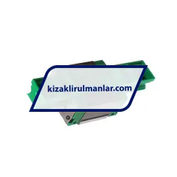 INA KWVE20-B-ESC-V0-G2 rulman resim 2