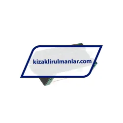 INA KWSE20-HL-RROC-V1-G3 rulman resim 2