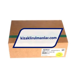 INA KWVE25-B-ES-UG-V0-G4 rulman resim 4
