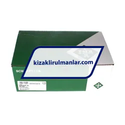 INA KWVE30-W-V1-G3 rulman resim 4