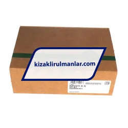 INA KWVE35-B-N-V1-G1 rulman resim 4