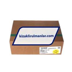 INA KWVE25-B-SN-V0-G4 rulman resim 4