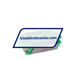 INA KWVE20-B-SL-V0-G2 rulman resim 2