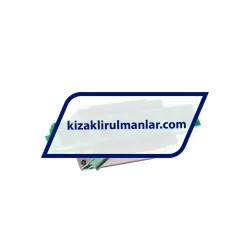 INA KWVE15-B-S-V2-G1 rulman resim 2