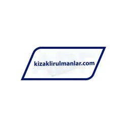 INA KWEM12-LZM-V1-G2A rulman resim 2