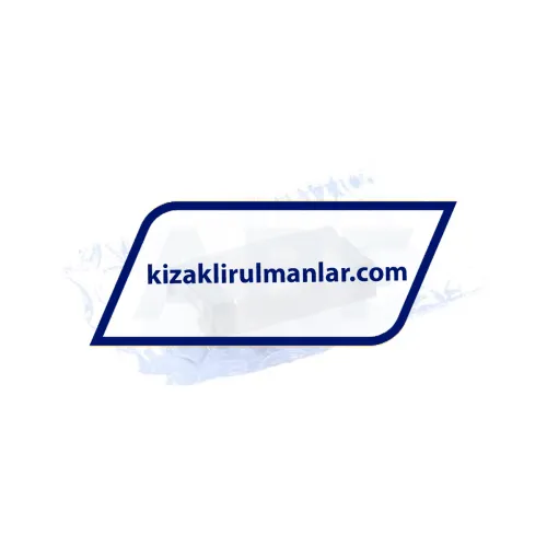 INA KWEM07-L-V1-G2A