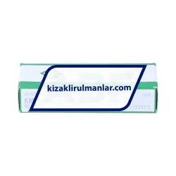 INA KWEM07-L-V1-G2A rulman resim 2